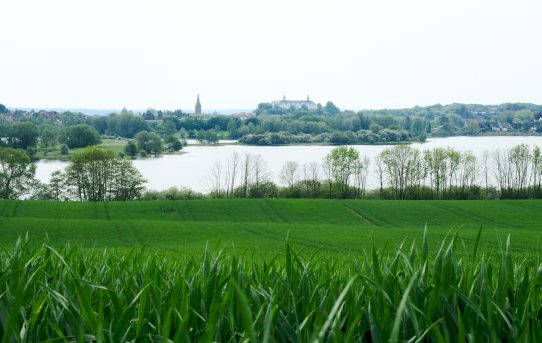 Spaziergang um den Trammer See – Plön