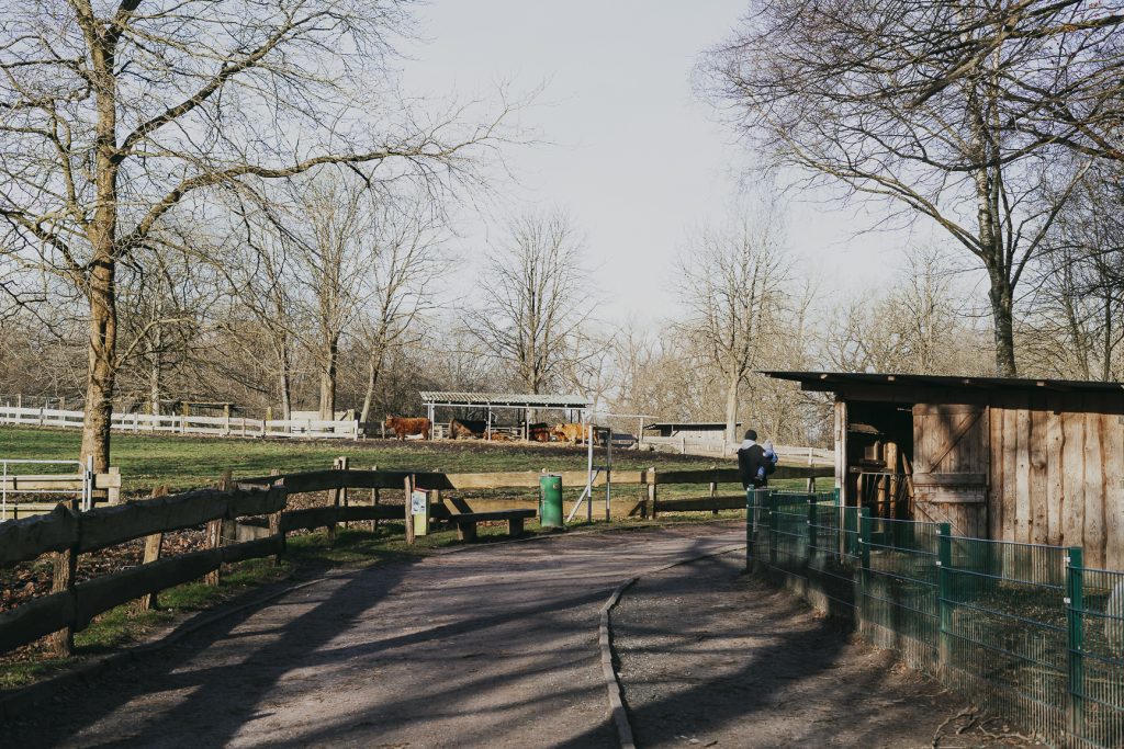 Wildgehege Schwentinental Tierpark Raisdorf